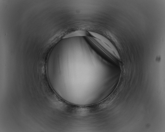 X0000091090313200708271301