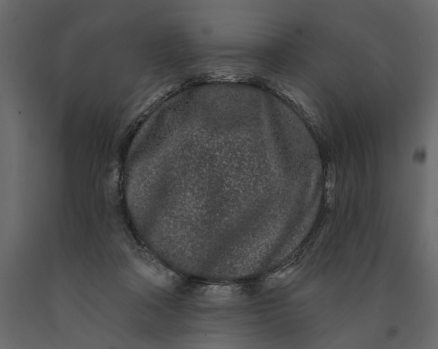 X0000091090314200708271301