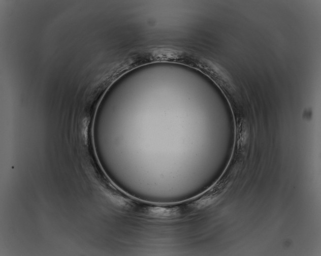 X0000091090315200708271301