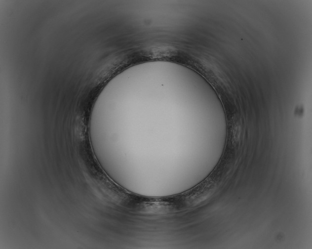 X0000091090316200708271301