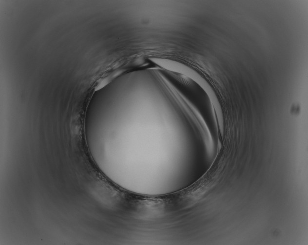 X0000091090317200708271301