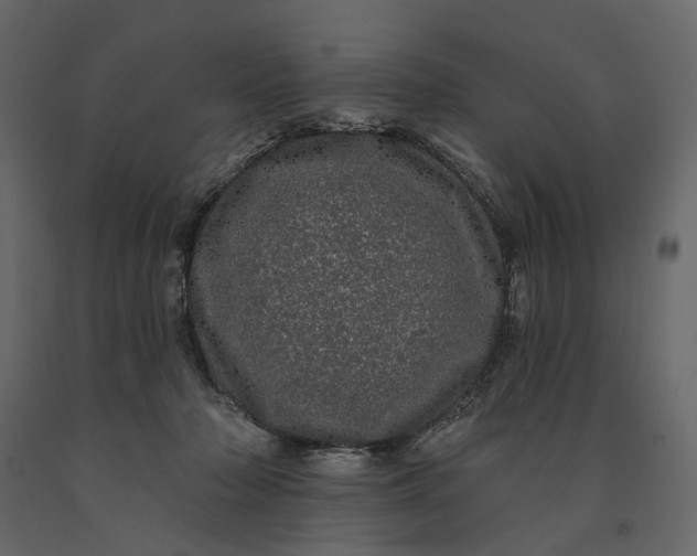 X0000091090318200708271301