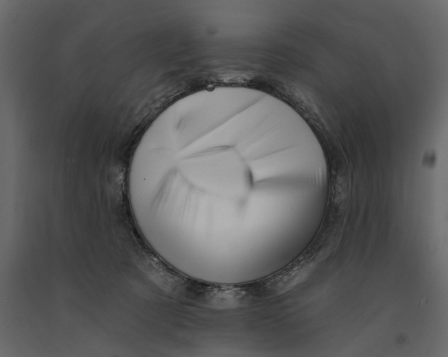 X0000091090321200708271301