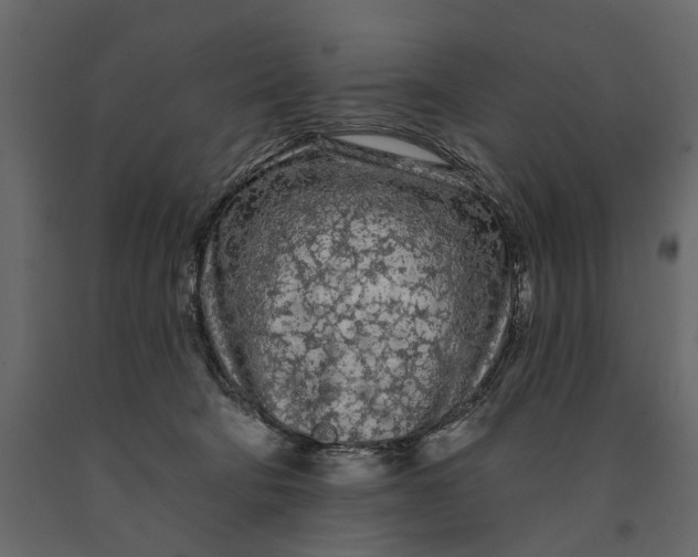 X0000091090322200708271301