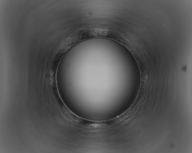 X0000091090323200708271301