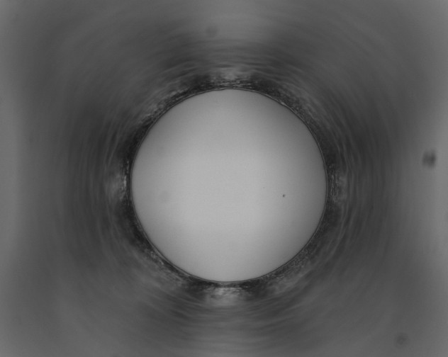 X0000091090324200708271301