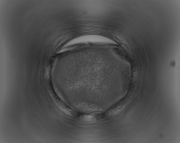 X0000091090325200708271301