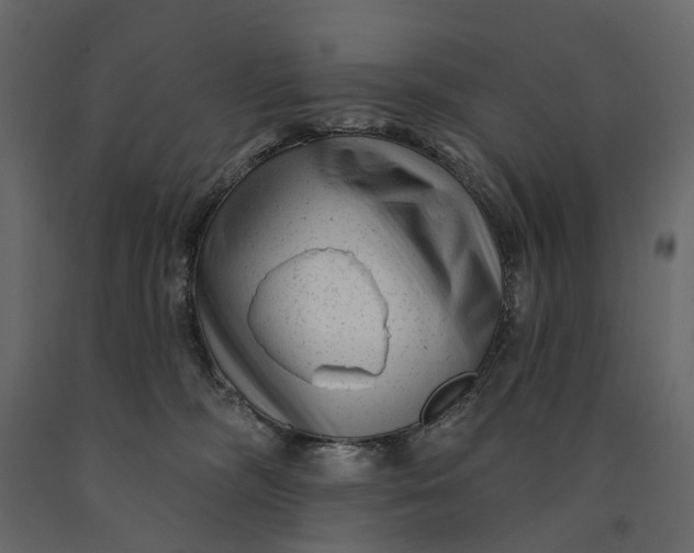 X0000091090326200708271301