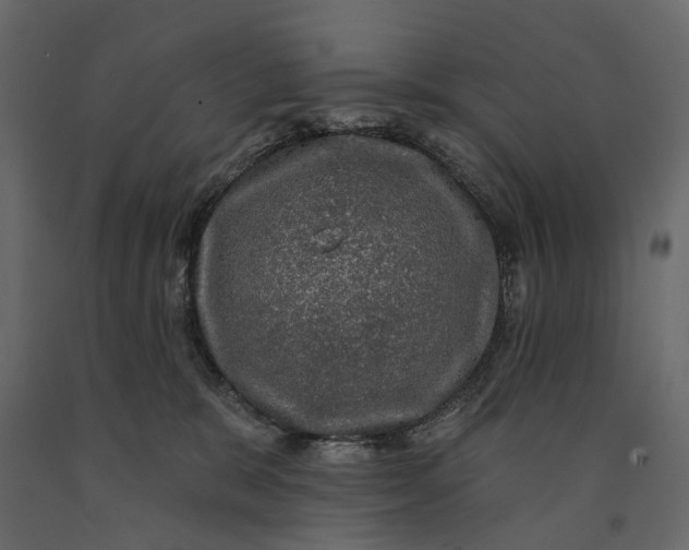 X0000091090327200708271301