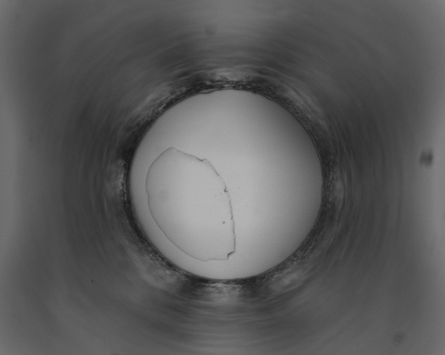 X0000091090328200708271301