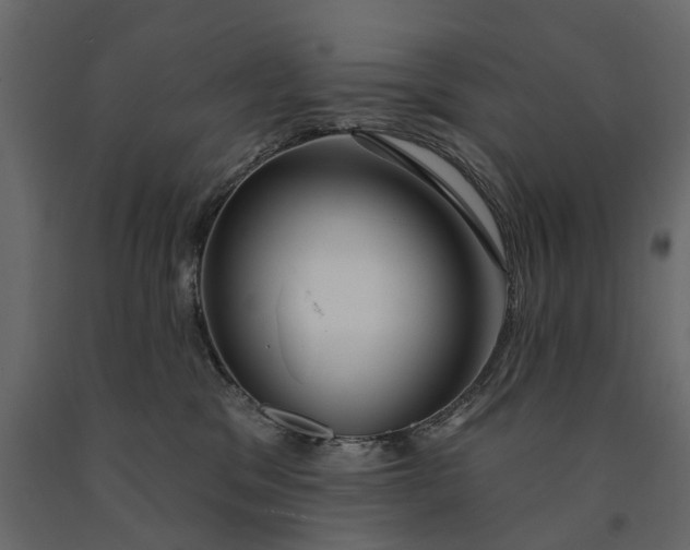 X0000091090329200708271301