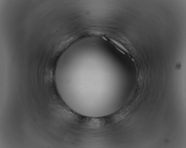 X0000091090330200708271301