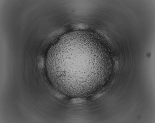 X0000091090331200708271301