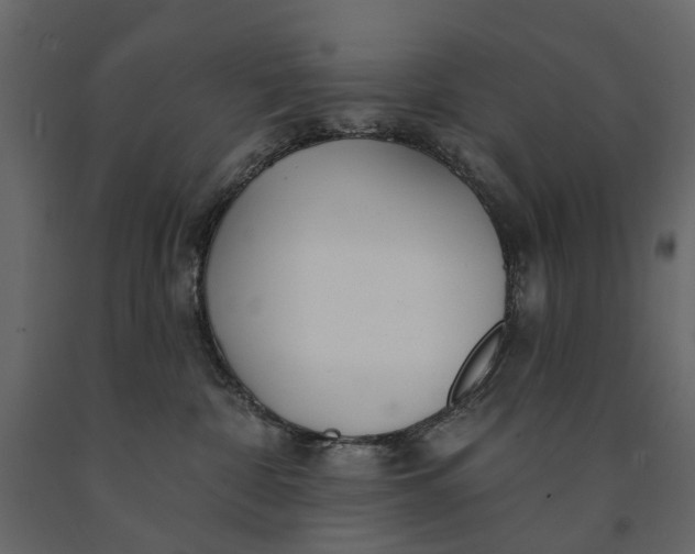 X0000091090332200708271301