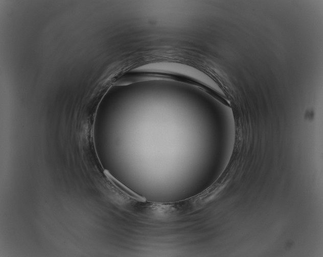 X0000091090333200708271301