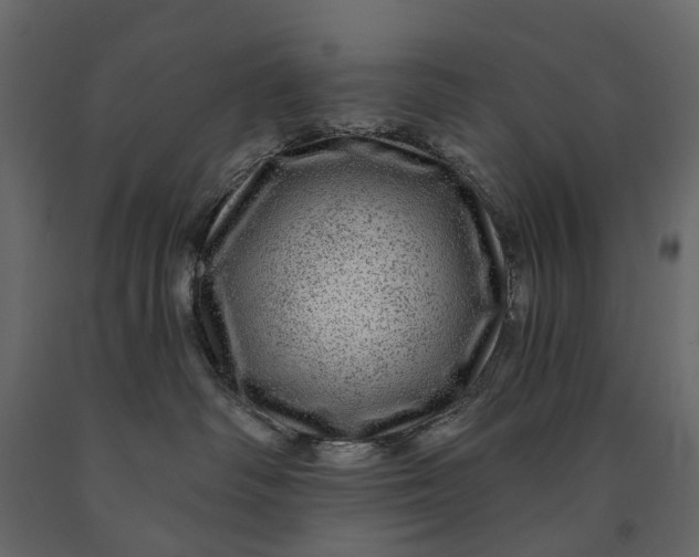 X0000091090334200708271301