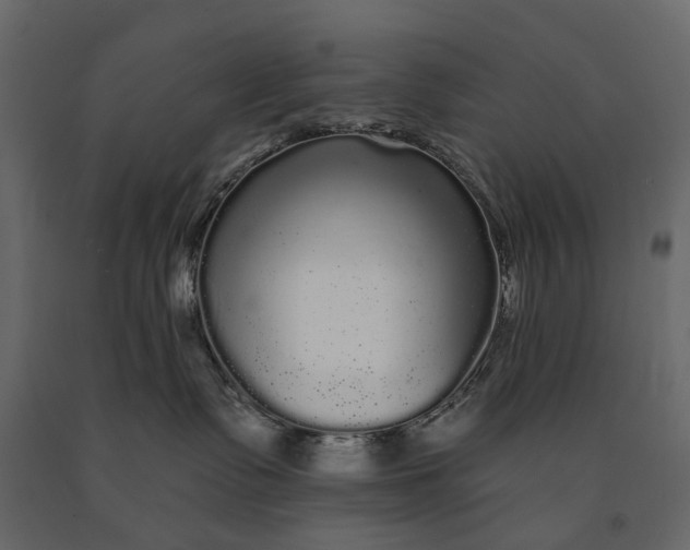 X0000091090335200708271301