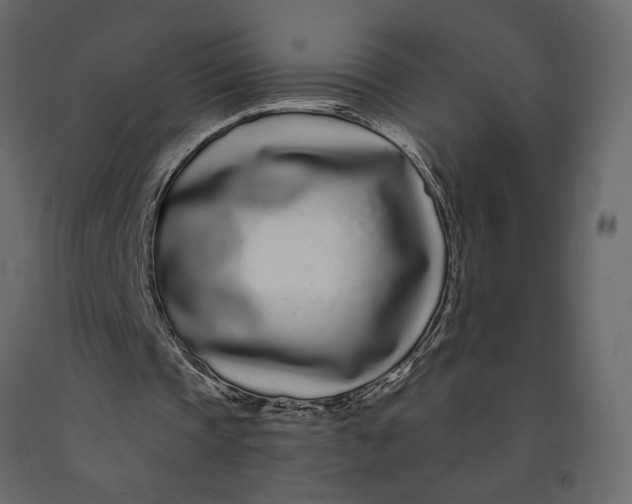 X0000091090337200708271300