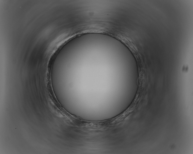 X0000091090338200708271300