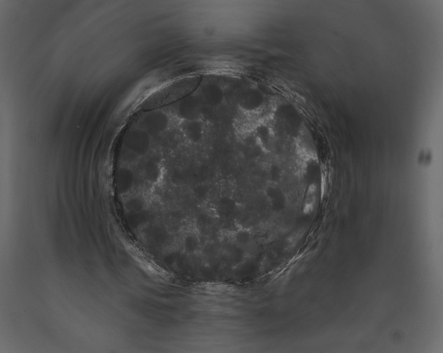 X0000091090339200708271300