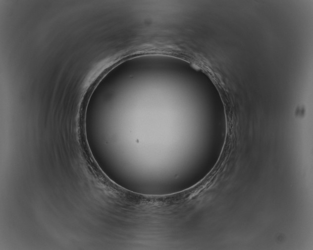 X0000091090340200708271300