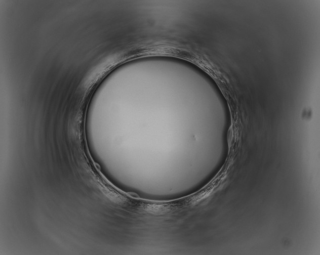 X0000091090341200708271300