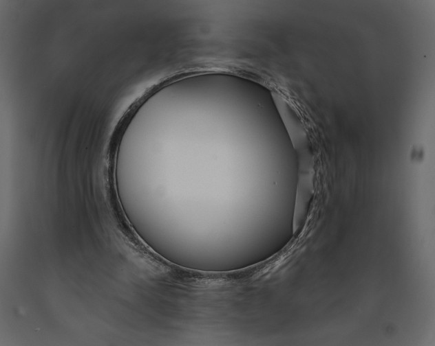 X0000091090342200708271300