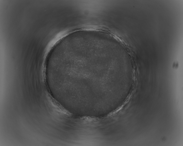 X0000091090343200708271300