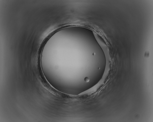 X0000091090344200708271300