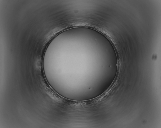 X0000091090345200708271300