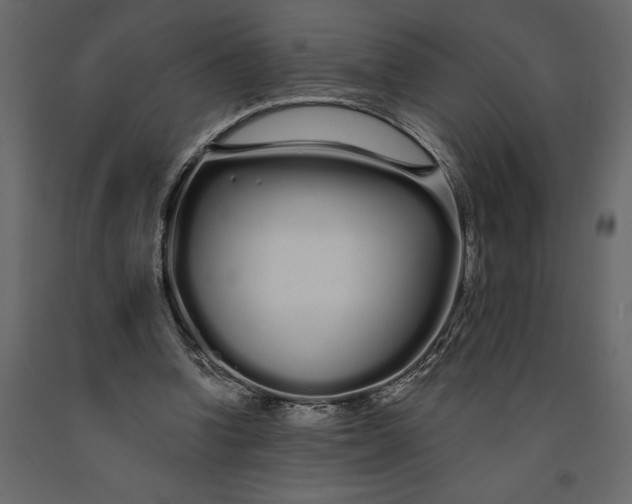 X0000091090346200708271300