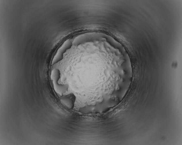 X0000091090347200708271300