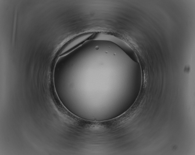 X0000091090348200708271300