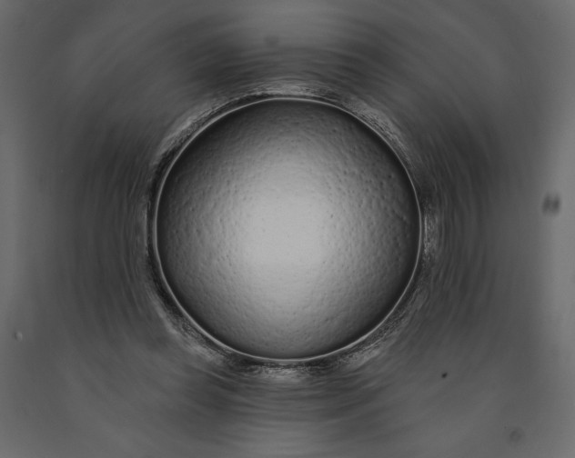 X0000091090349200708271300