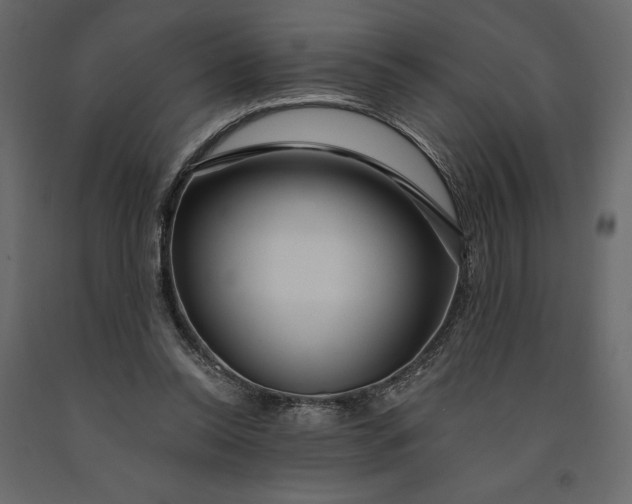 X0000091090350200708271300