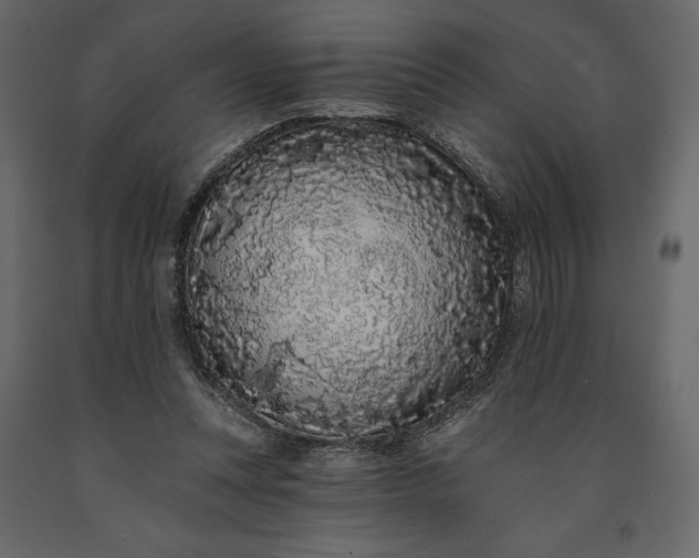 X0000091090351200708271300