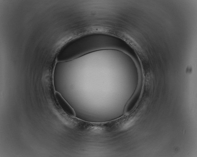 X0000091090352200708271300