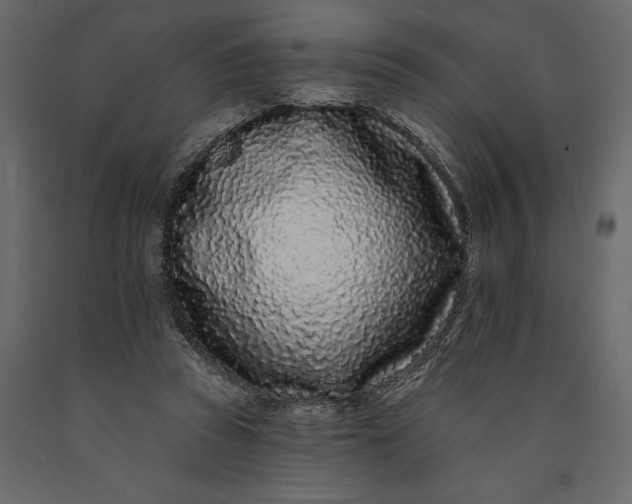 X0000091090353200708271300