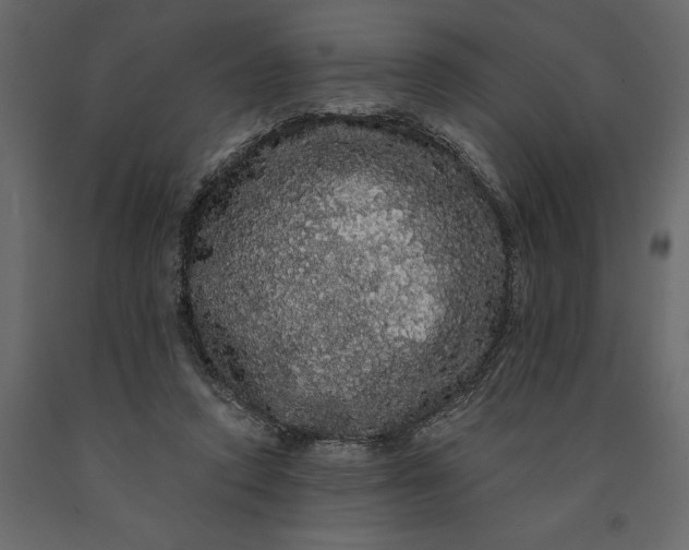 X0000091090354200708271300