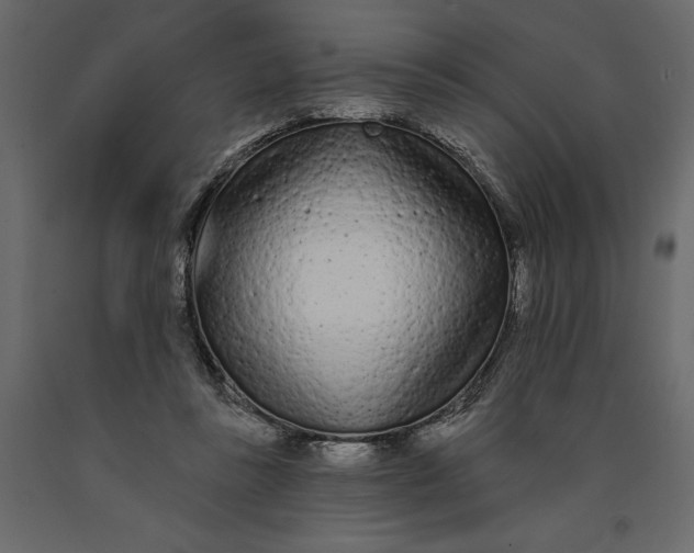 X0000091090355200708271300