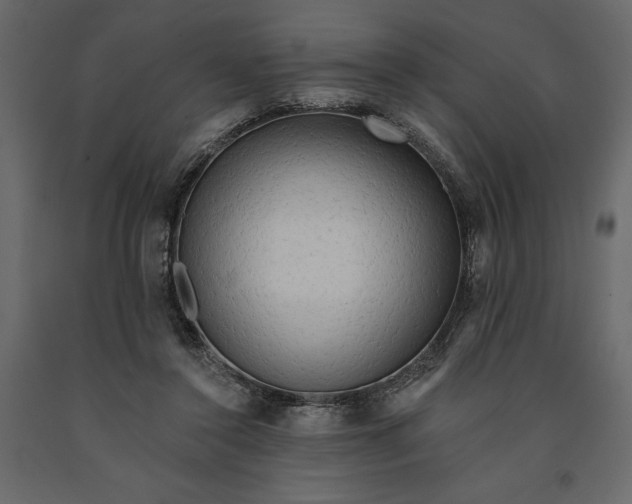 X0000091090356200708271300