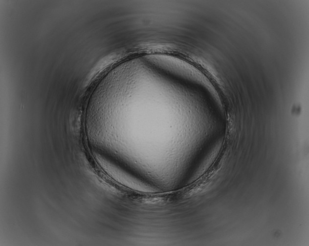 X0000091090357200708271300