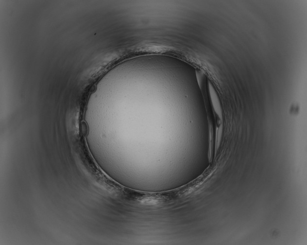 X0000091090358200708271301