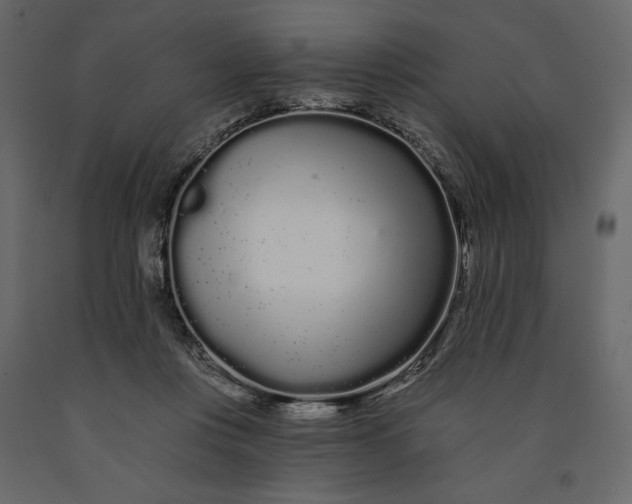 X0000091090359200708271301