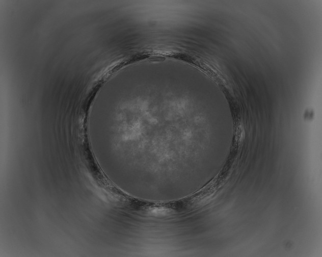 X0000091090360200708271301