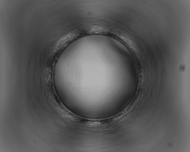 X0000091090361200708271301