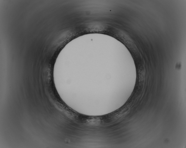 X0000091090362200708271301