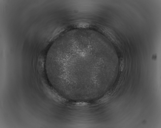 X0000091090363200708271301