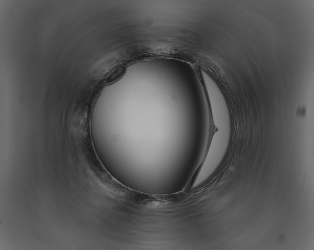 X0000091090364200708271301