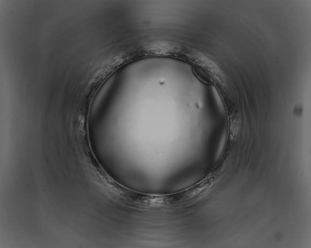 X0000091090365200708271301